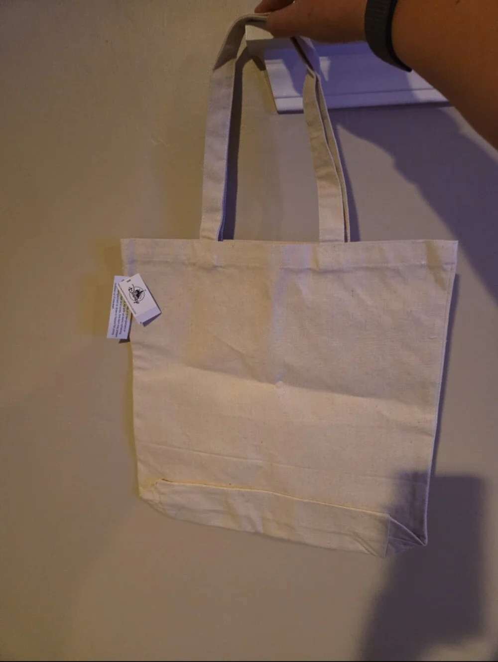 Disney Beige Canvas Disneyland Resort Mickey Tote Bag